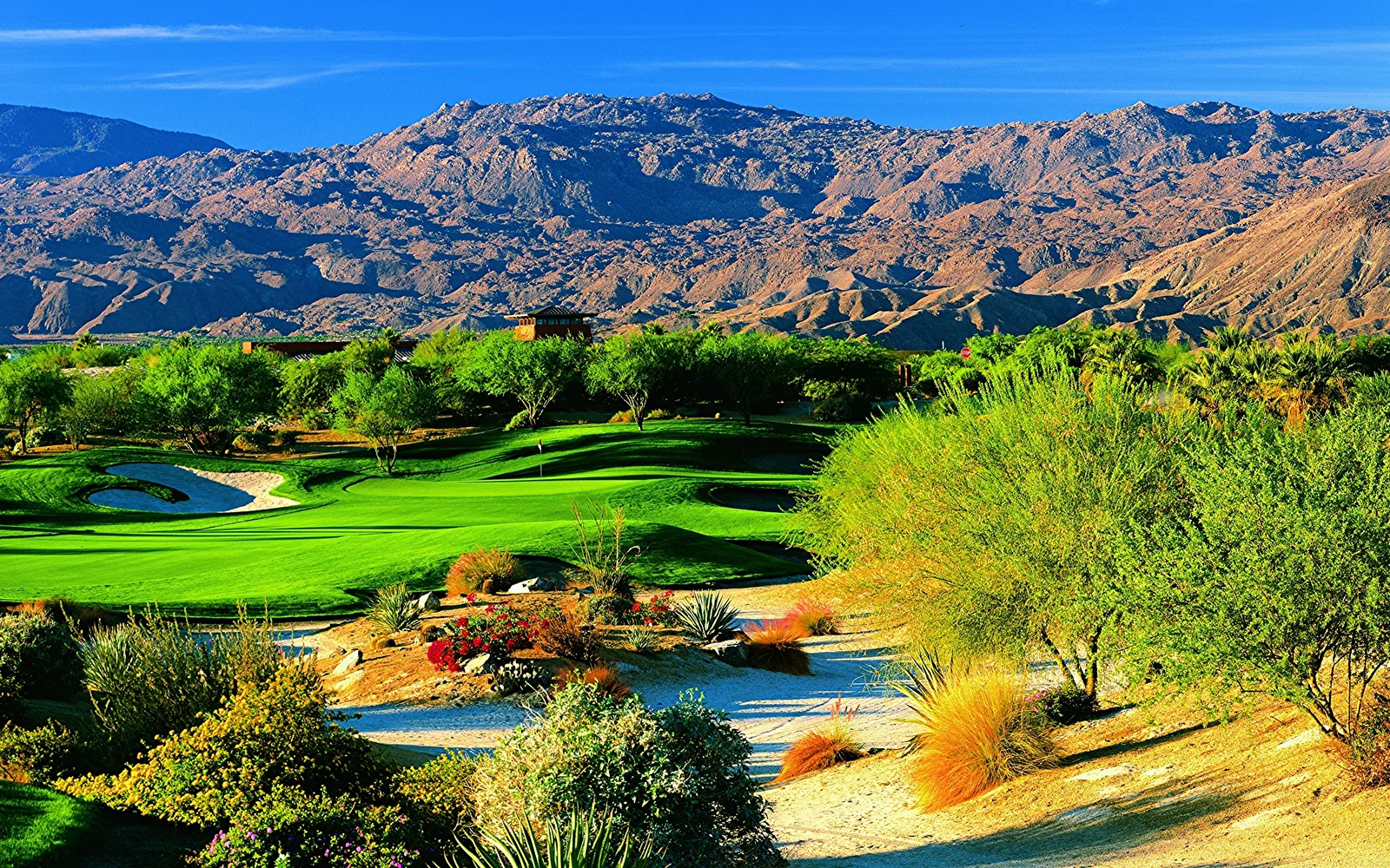 Desert golf course with fairway and rough, surrounded by desert vegetation and distant mountains